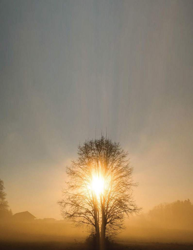 Cover of the Joy Up 30 Second Joy Reset guide.